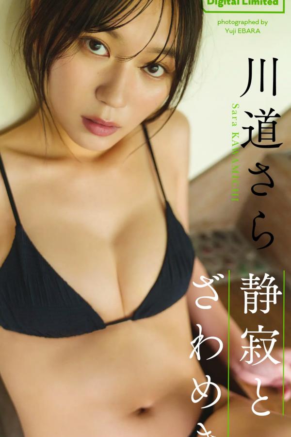  川道さら - 静寂とざわめき 日系家居私房内衣性感写真第1张图片