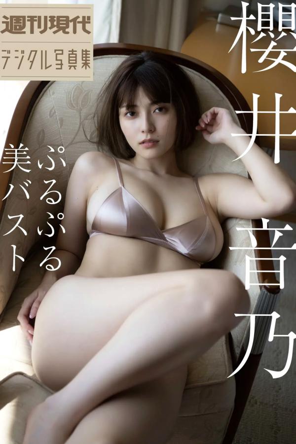   櫻井音乃 - 阳光彩虹比基尼与黑色高叉泳装性感写真 极品美胸诱惑第1张图片