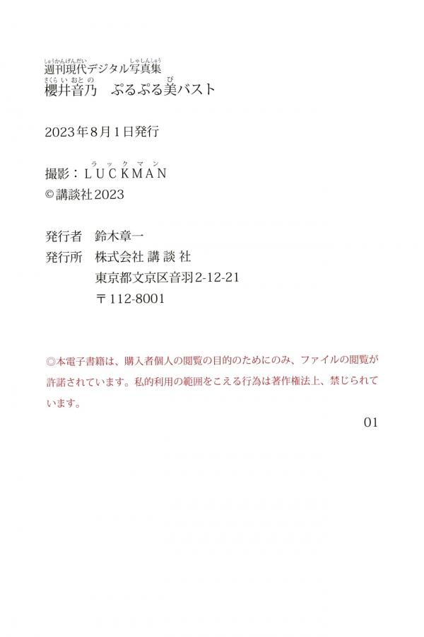   櫻井音乃 - 阳光彩虹比基尼与黑色高叉泳装性感写真 极品美胸诱惑第119张图片