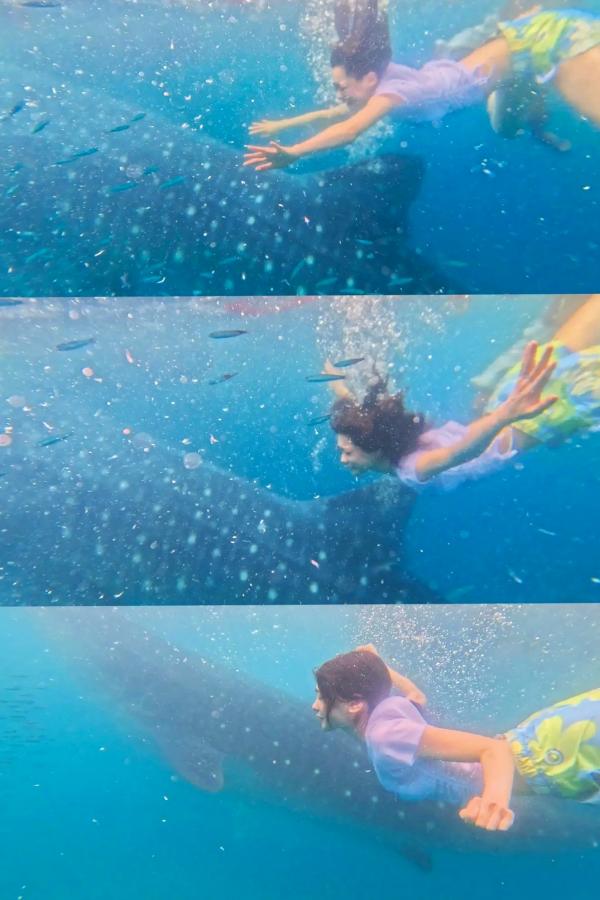   今森茉耶 - Love Begins 恋がはじまる 海边沙滩比基尼与清纯私房写真第67张图片