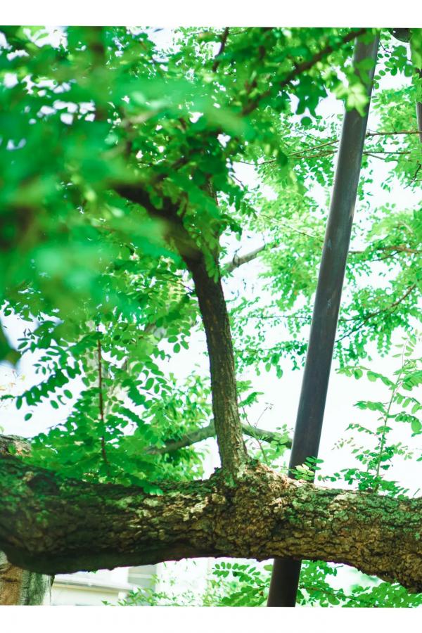  白濱美兎 - 鳥取が生んだ超逸材！清纯性感比基尼泳装写真第40张图片