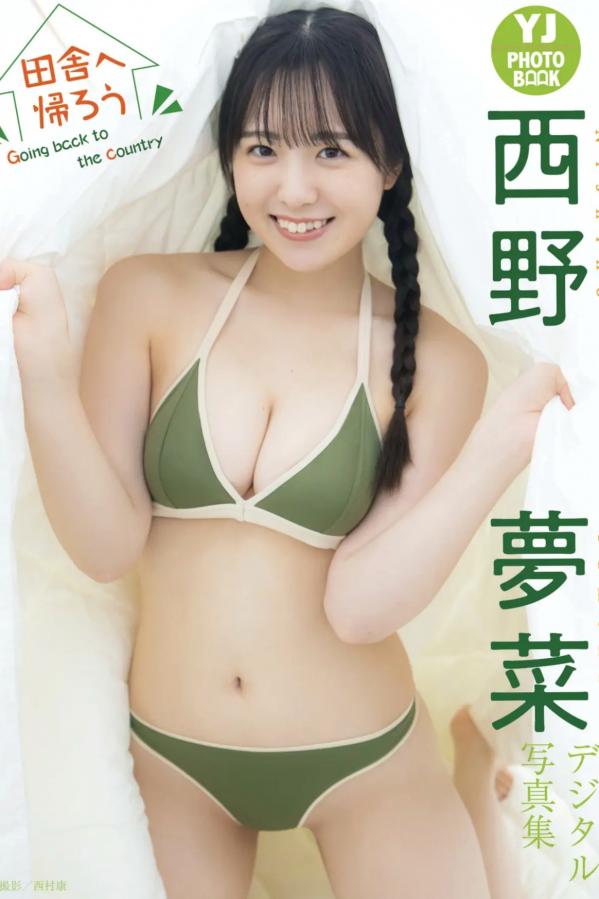   西野夢菜《田舎へ帰ろう》日本清纯女神海边沙滩比基尼户外治愈系写真第1张图片