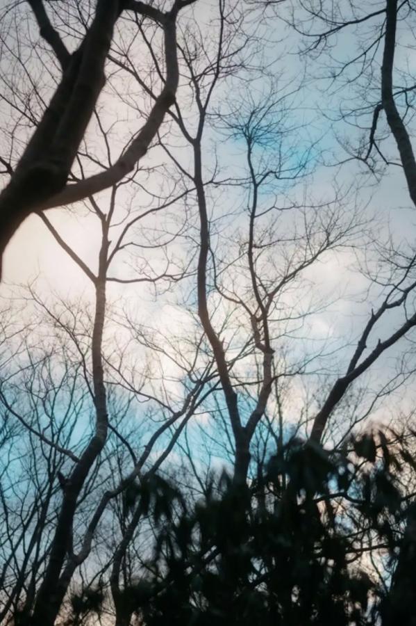   芽衣 - 芽ばえちゃう 浴室湿身性感内衣私房写真第202张图片