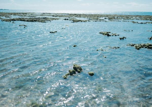    九十九ぱて - こっちにきて？海边沙滩比基尼与浴室湿身写真第2张图片