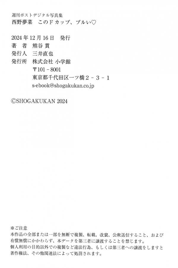   西野夢菜 - このFカップ、プルい 日本性感女神室内酒红内衣私房写真第87张图片