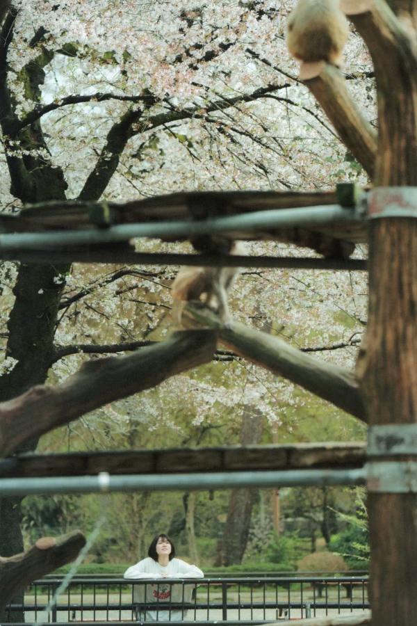   大西桃香 - 桃の眺め方 日系清新街拍与居家和服写真套图第43张图片