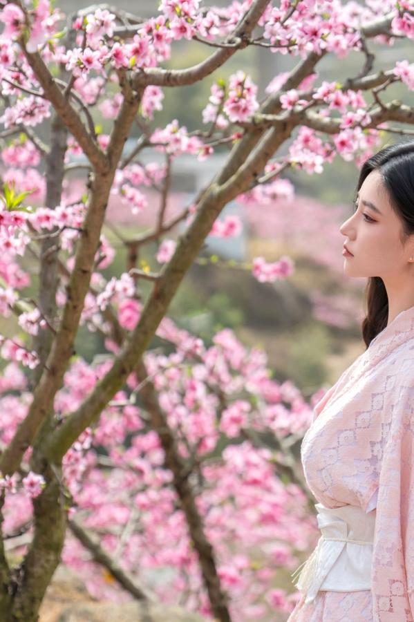年年Nnian 年年  年年《漫花》户外桃花林和服性感大尺度写真 极品女神清新诱惑第4张图片