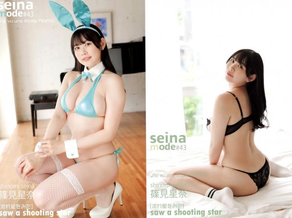    篠見星奈 - SEINA MODE 流れ星をみた 性感金色比基尼与蕾丝内衣私房写真第2张图片