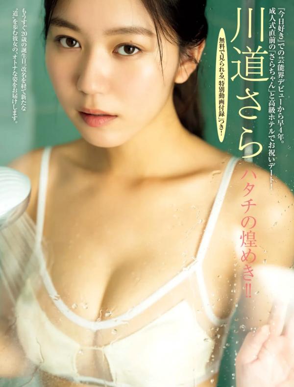    川道さら - ハタチの煌めき!! 日本美少女20岁纪念性感内衣与清纯私房写真第1张图片