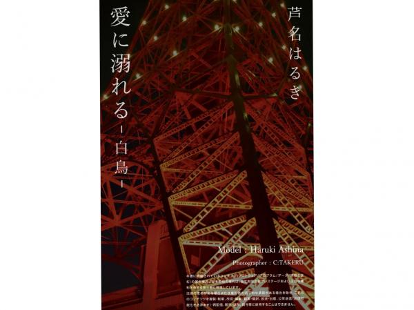   芦名はるき - 愛に溺れる -白鳥- 都市夜景私房性感诱惑写真第31张图片