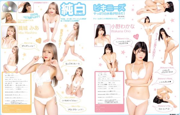    [EX MAX!] 2023.03 日本性感写真特辑 夏来唯 乙陽葵 天木纯 森咲智美 海边比基尼内衣私房诱惑第18张图片
