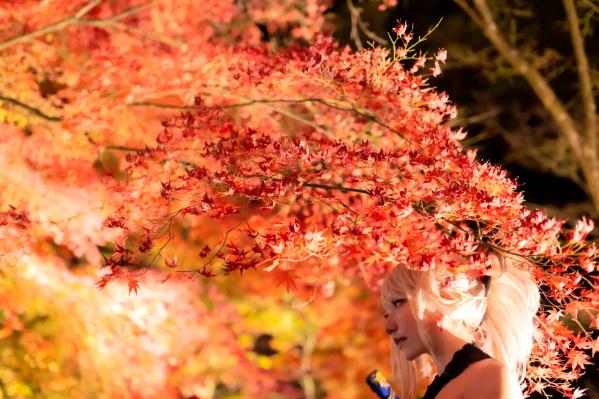    (Cosplay) [Shooting Star