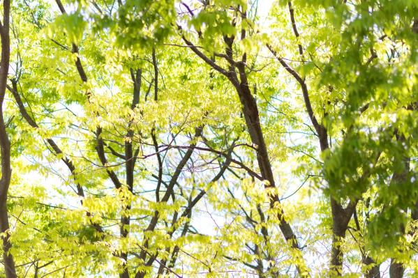    每眠かのん - 夏恋模様：清新夏日草帽装扮与居家健身日常，治愈系双马尾少女甜美写真第20张图片