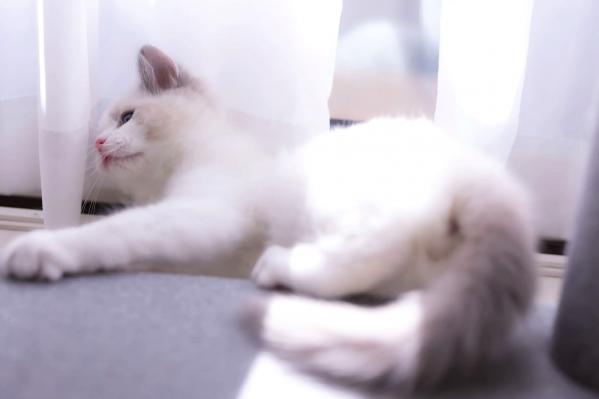    每眠かのん - 夏恋模様：清新夏日草帽装扮与居家健身日常，治愈系双马尾少女甜美写真第103张图片