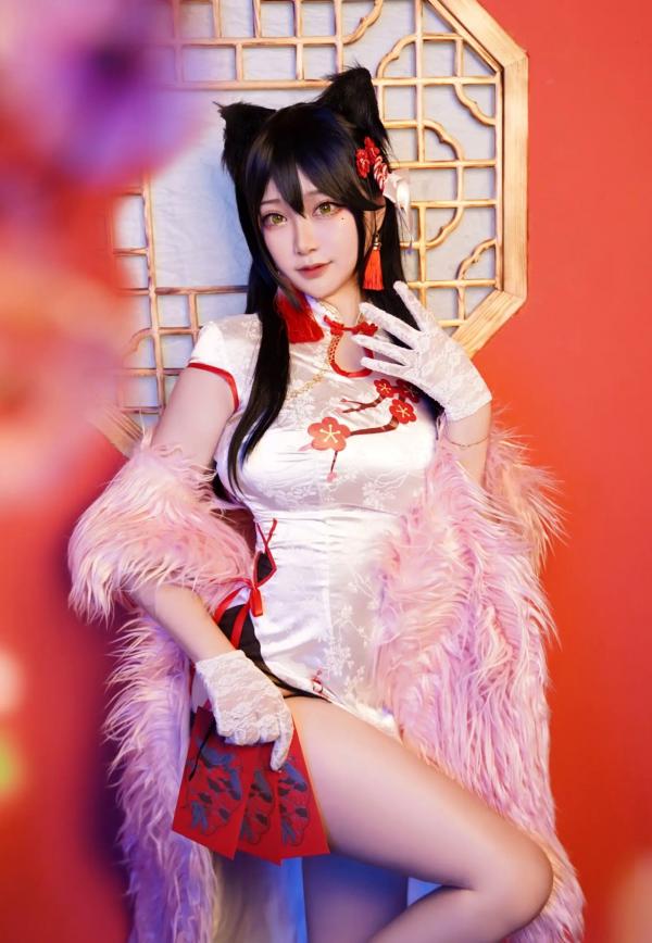    Halo_酱 - 爱宕新春旗袍，樱花树下cosplay绝美写真，红白旗袍搭配猫耳造型，国潮古风新春视觉盛宴第1张图片