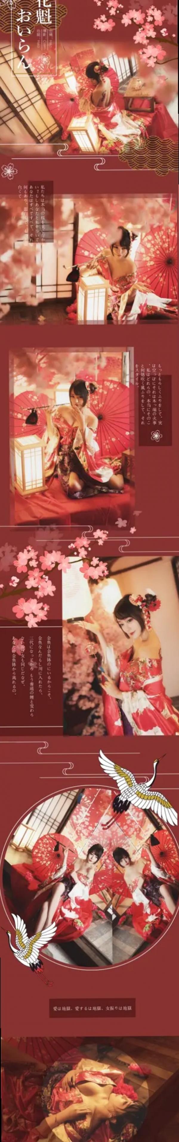    Halo_酱 - 爱宕新春旗袍，樱花树下cosplay绝美写真，红白旗袍搭配猫耳造型，国潮古风新春视觉盛宴第2张图片