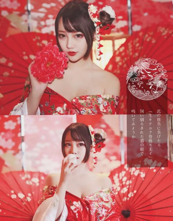    Halo_酱 - 爱宕新春旗袍，樱花树下cosplay绝美写真，红白旗袍搭配猫耳造型，国潮古风新春视觉盛宴第9张图片