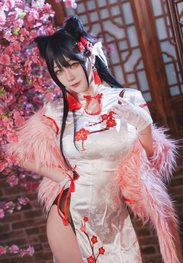    Halo_酱 - 爱宕新春旗袍，樱花树下cosplay绝美写真，红白旗袍搭配猫耳造型，国潮古风新春视觉盛宴第13张图片