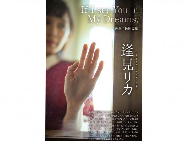    逢見リカ - If I See You in My Dreams 秋日红裙与室内蕾丝内衣写真，尽显冷艳与性感气质第30张图片