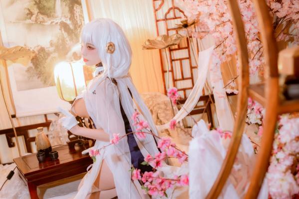    二佐Nisa 碧蓝航线 天狼星旗袍[25P]第8张图片