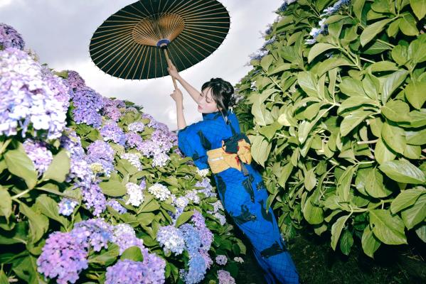    Ely_eee(ElyEE子) - 雨季黑猫日系和服绣球花唯美写真 [38P]第23张图片