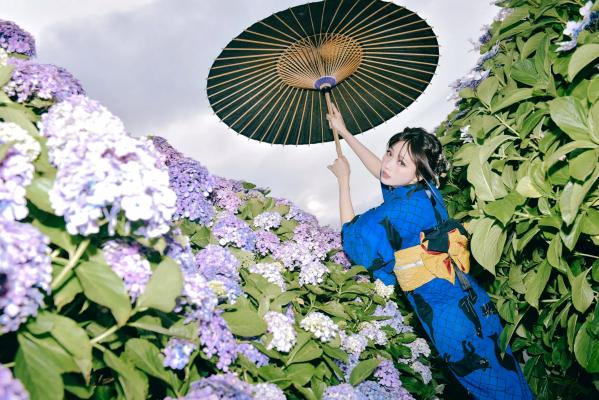    Ely_eee(ElyEE子) - 雨季黑猫日系和服绣球花唯美写真 [38P]第24张图片
