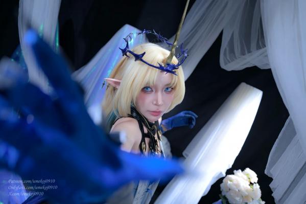    Umeko J Fleurdelys (Wuthering Waves)[98P]第11张图片
