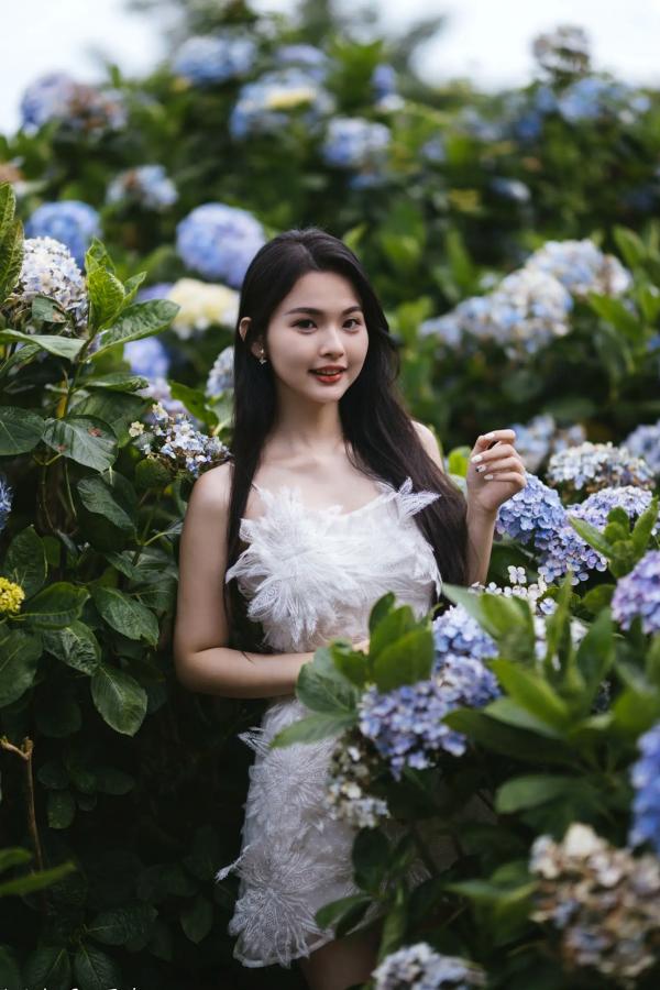    米浆 - 清新唯美绣球花丛女神写真，治愈系甜美户外花园私房照第1张图片