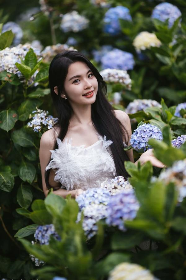    米浆 - 清新唯美绣球花丛女神写真，治愈系甜美户外花园私房照第2张图片