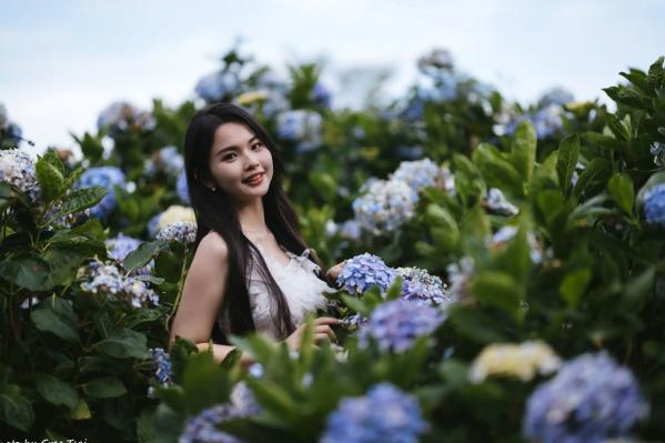    米浆 - 清新唯美绣球花丛女神写真，治愈系甜美户外花园私房照第5张图片