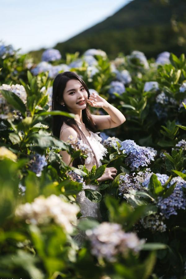    米浆 - 清新唯美绣球花丛女神写真，治愈系甜美户外花园私房照第7张图片