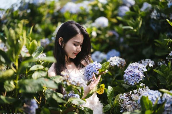    米浆 - 清新唯美绣球花丛女神写真，治愈系甜美户外花园私房照第8张图片