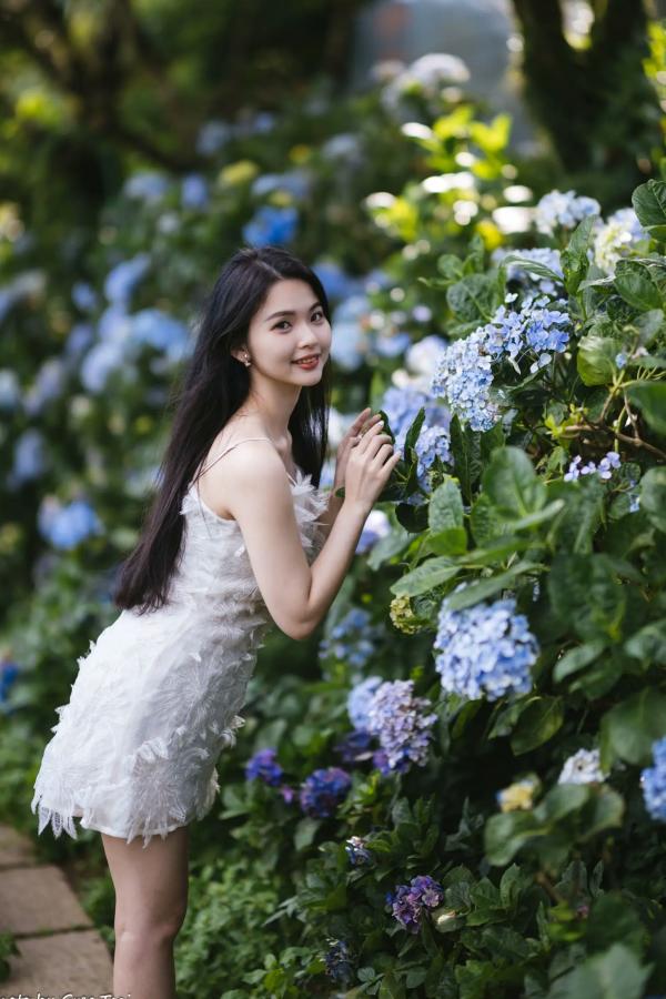    米浆 - 清新唯美绣球花丛女神写真，治愈系甜美户外花园私房照第19张图片