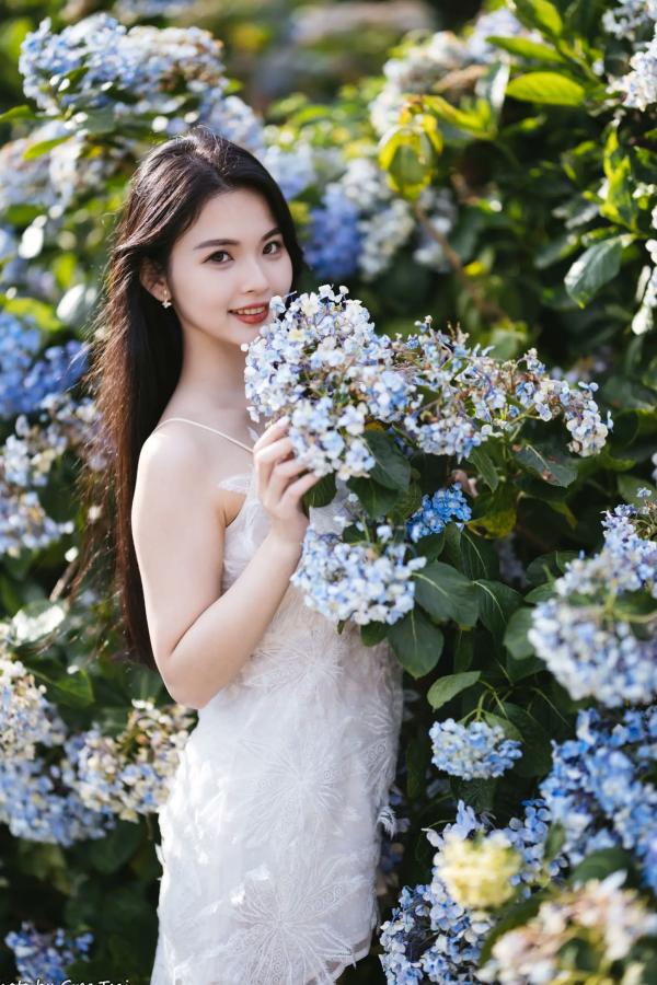    米浆 - 清新唯美绣球花丛女神写真，治愈系甜美户外花园私房照第36张图片