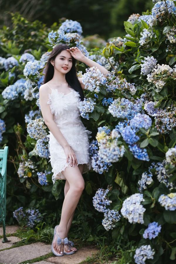    米浆 - 清新唯美绣球花丛女神写真，治愈系甜美户外花园私房照第37张图片