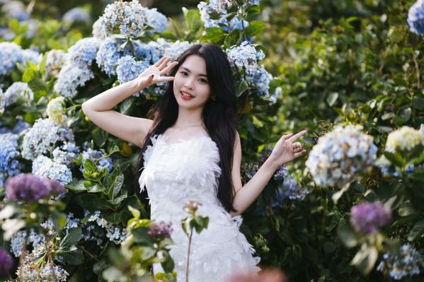    米浆 - 清新唯美绣球花丛女神写真，治愈系甜美户外花园私房照第43张图片
