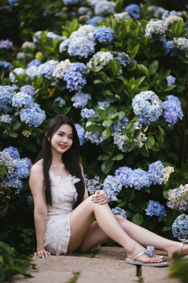    米浆 - 清新唯美绣球花丛女神写真，治愈系甜美户外花园私房照第54张图片