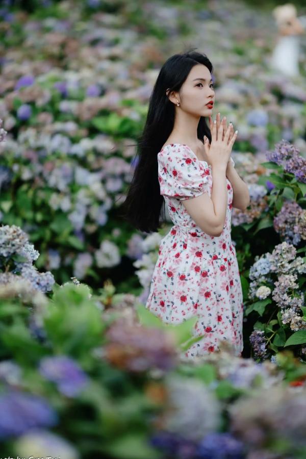    米浆 - 清新唯美绣球花丛女神写真，治愈系甜美户外花园私房照第71张图片