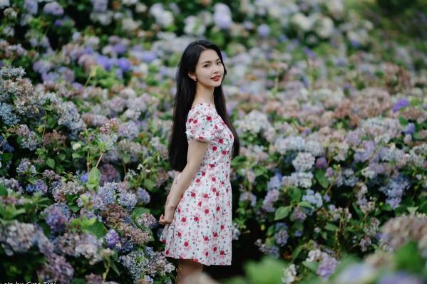    米浆 - 清新唯美绣球花丛女神写真，治愈系甜美户外花园私房照第73张图片