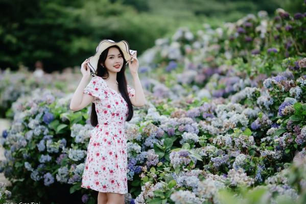    米浆 - 清新唯美绣球花丛女神写真，治愈系甜美户外花园私房照第94张图片