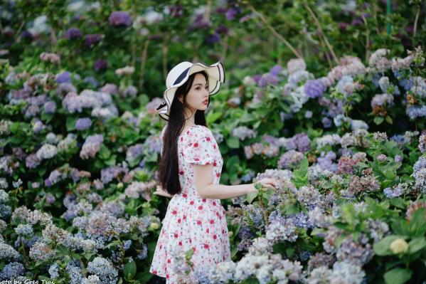    米浆 - 清新唯美绣球花丛女神写真，治愈系甜美户外花园私房照第99张图片