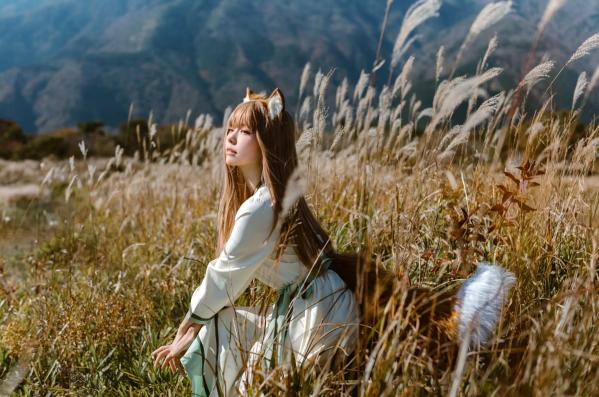    Ely_eee(ElyEE子) - 赫萝Cosplay 狼與微風 户外芒草丛中的治愈系少女 [34P]第4张图片