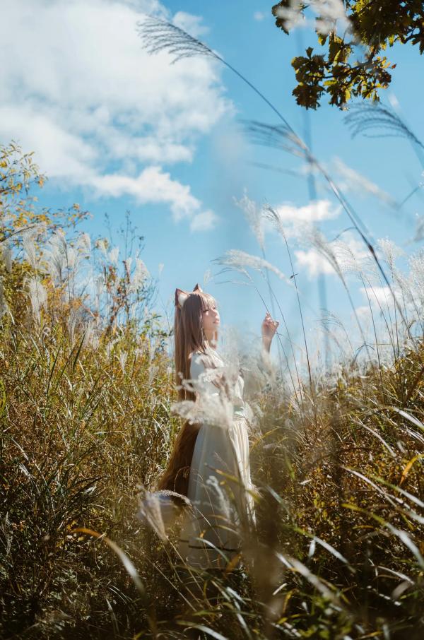    Ely_eee(ElyEE子) - 赫萝Cosplay 狼與微風 户外芒草丛中的治愈系少女 [34P]第5张图片
