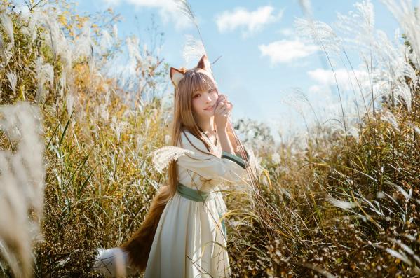    Ely_eee(ElyEE子) - 赫萝Cosplay 狼與微風 户外芒草丛中的治愈系少女 [34P]第13张图片