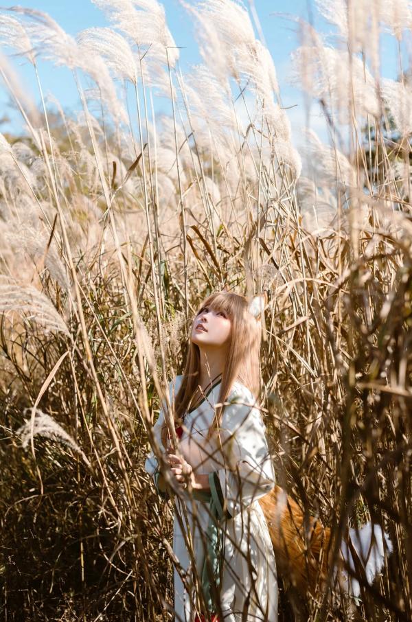    Ely_eee(ElyEE子) - 赫萝Cosplay 狼與微風 户外芒草丛中的治愈系少女 [34P]第21张图片