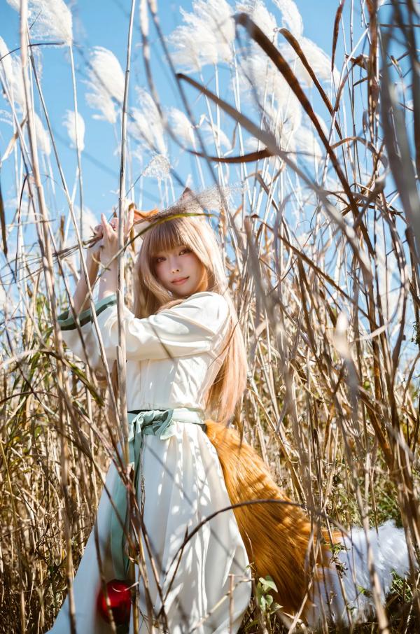    Ely_eee(ElyEE子) - 赫萝Cosplay 狼與微風 户外芒草丛中的治愈系少女 [34P]第22张图片