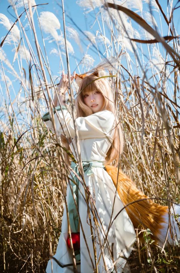    Ely_eee(ElyEE子) - 赫萝Cosplay 狼與微風 户外芒草丛中的治愈系少女 [34P]第23张图片