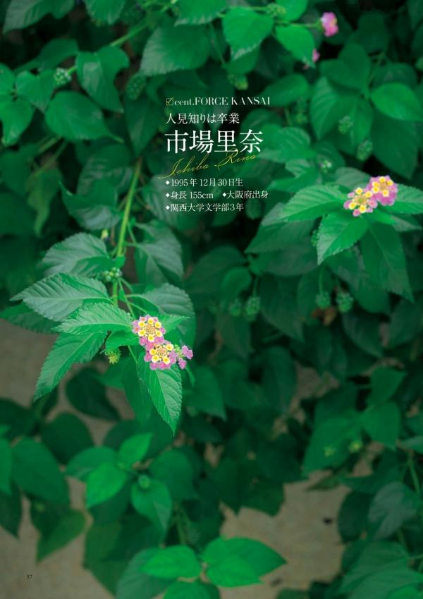    原色美人キャスター大図鑑2017：日本清纯主播写真集，汇集Cent Force与Kansai Fresh File美女，户外家居风格展现女神元气笑颜第51张图片