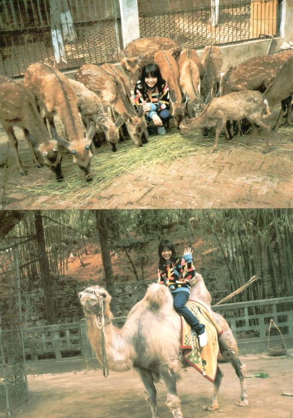    PB写真集_宮崎あおい/宫崎葵 《20TH ANNIVERSARY 「光」》 清新治愈户外写真第13张图片