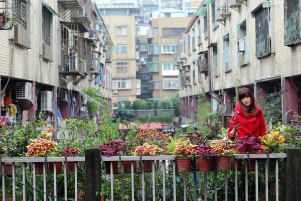    台湾正妹Kila晶晶/金允乔街拍系列，清新甜美治愈系风格，老城背景下的自然随性和美私房照片第13张图片